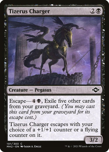 Tizerus Charger | 101